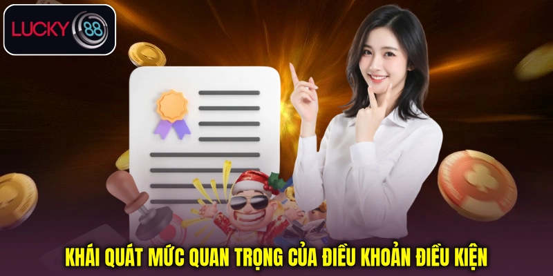 Khái quát mức quan trọng của điều khoản điều kiện