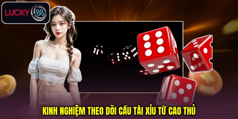 Kinh nghiệm theo dõi cầu Tài Xỉu